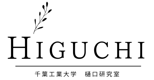 YOKO HIGUCHI